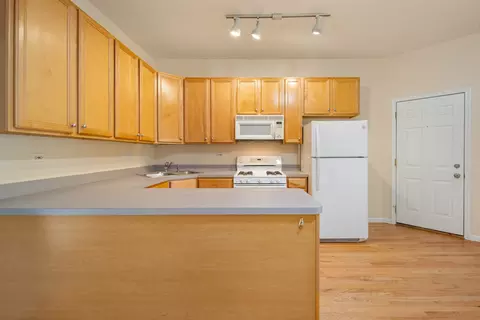 1133 E 61st St #2, Chicago, IL 60637 photo 7