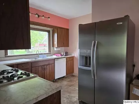 242 Main St, Carthage, IL 62321 photo 3