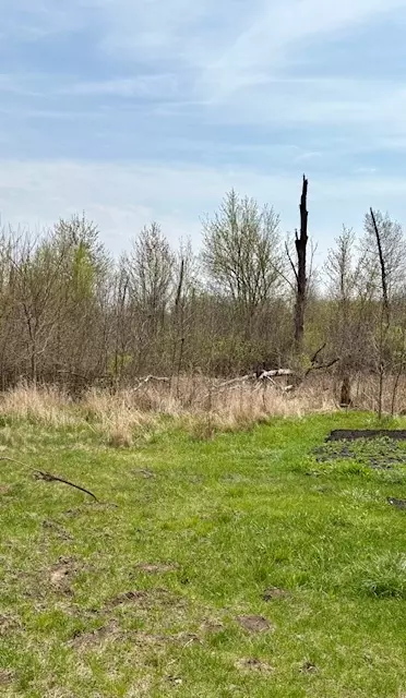1433 Woodhaven, Sublette, IL 61367