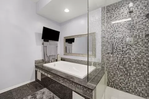 1455 S Halsted St, Chicago, IL 60607 photo 19