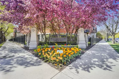 1455 S Halsted St, Chicago, IL 60607 photo 43