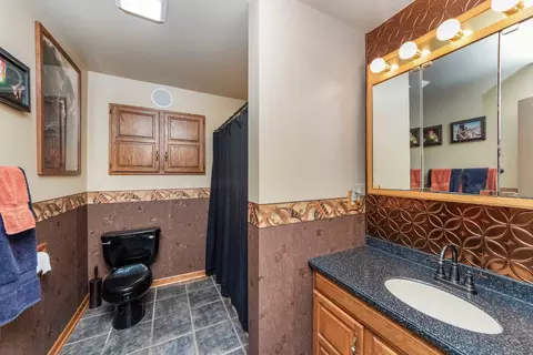 715 Locust St, Minonk, IL 61760 photo 17