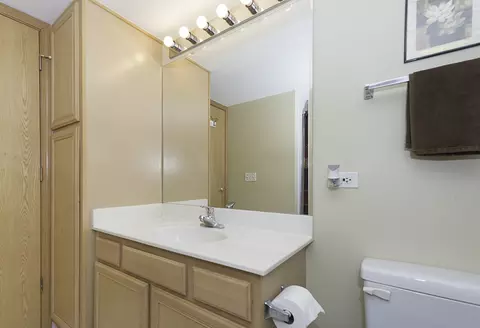 Bath - 750 Pearson St #611, Des Plaines, IL 60016 photo 5 of 6