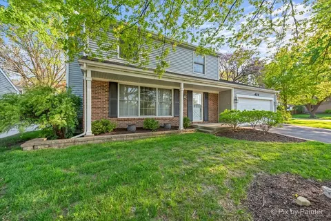 424 Livingston Dr, New Lenox, IL 60451