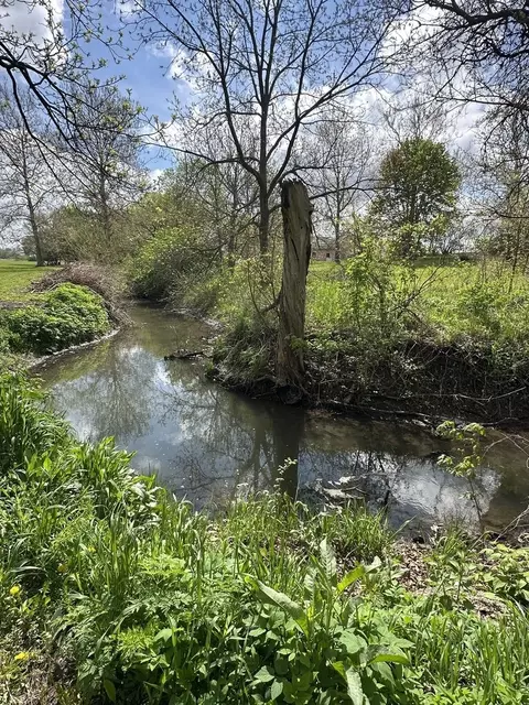 602 S Jackson St, Morrison, IL 61270 photo 42