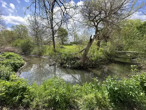 602 S Jackson St, Morrison, IL 61270 photo 41