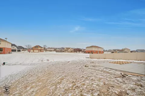 Exterior - 26165 County Fair Dr, Monee, IL 60449 photo 4 of 4