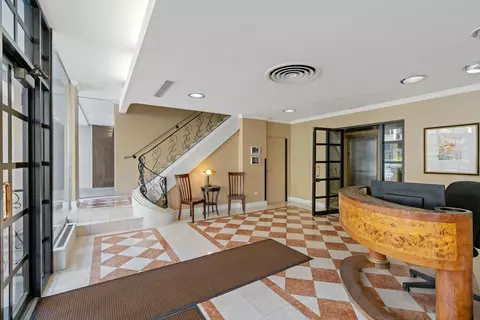 33 E Cedar St #6H, Chicago, IL 60611 photo 5