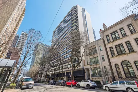 33 E Cedar St #6H, Chicago, IL 60611 photo 2