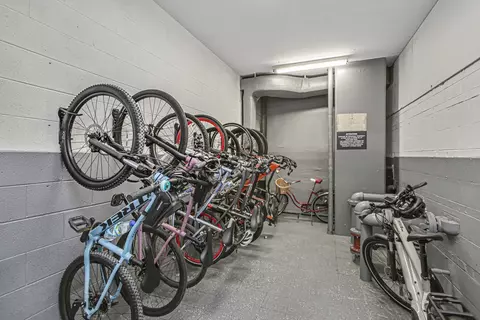 33 E Cedar St #6H, Chicago, IL 60611 photo 22