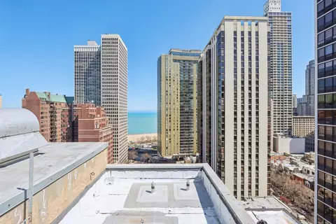 33 E Cedar St #6H, Chicago, IL 60611 photo 16