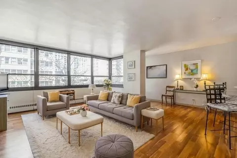 33 E Cedar St #6H, Chicago, IL 60611 photo 3