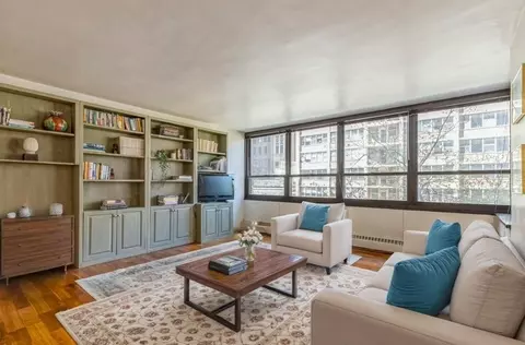 33 E Cedar St #6H, Chicago, IL 60611 photo 4