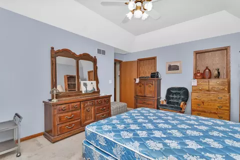 25056 Madison St, Plainfield, IL 60544 photo 23