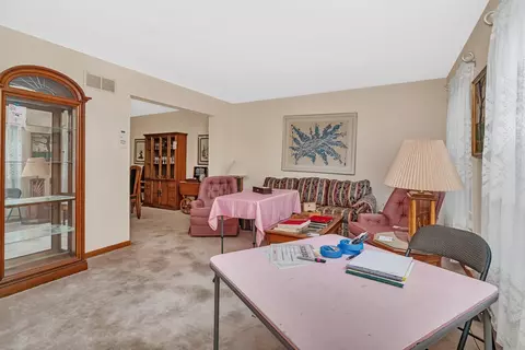 25056 Madison St, Plainfield, IL 60544 photo 19