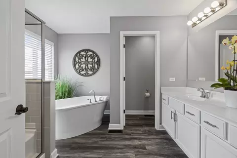 Bath - 27025 Ashgate Xing, Plainfield, IL 60585 photo 1 of 4