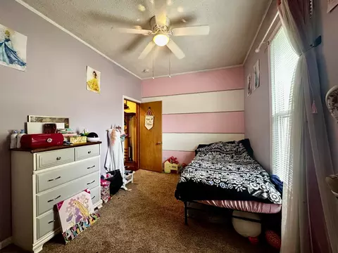 409 E Main St, Heyworth, IL 61745 photo 11