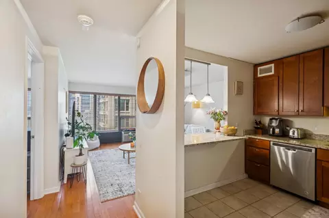 30 E Huron St #1406, Chicago, IL 60611 photo 4