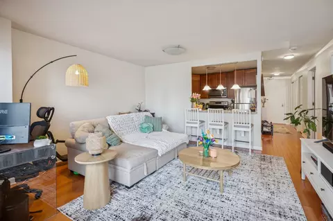 30 E Huron St #1406, Chicago, IL 60611 photo 7
