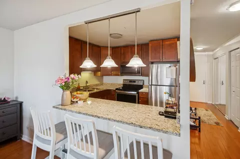 30 E Huron St #1406, Chicago, IL 60611 photo 2