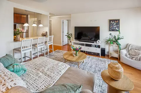 30 E Huron St #1406, Chicago, IL 60611 photo 8