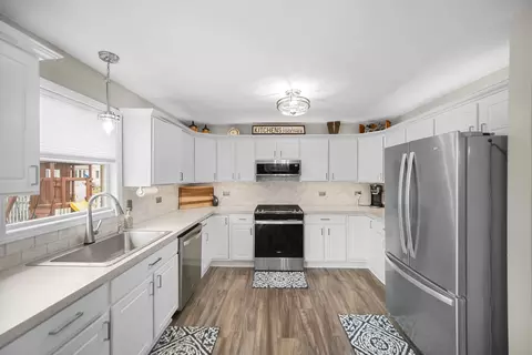 1611 Saddle Run Ln, Beecher, IL 60401 photo 9