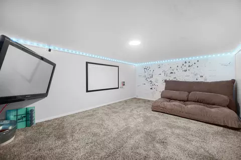 1611 Saddle Run Ln, Beecher, IL 60401 photo 23