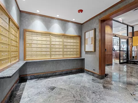 100 E Walton St #18G, Chicago, IL 60611 photo 20