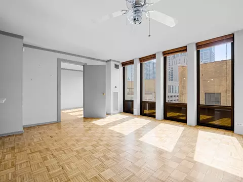 100 E Walton St #18G, Chicago, IL 60611 photo 9