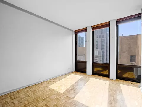 100 E Walton St #18G, Chicago, IL 60611 photo 14