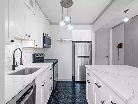 100 E Walton St #18G, Chicago, IL 60611 photo 4