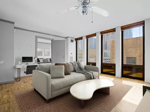 100 E Walton St #18G, Chicago, IL 60611 photo 7