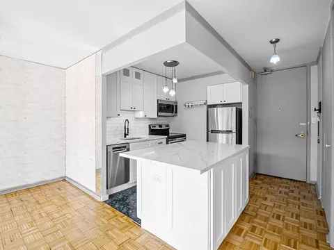 100 E Walton St #18G, Chicago, IL 60611 photo 5