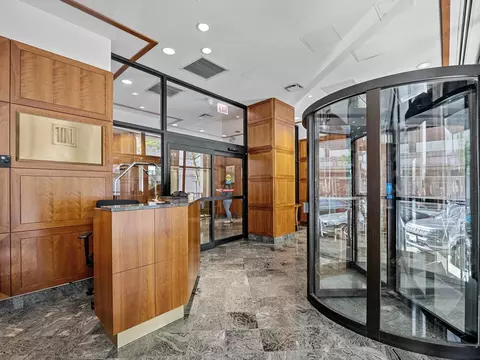 100 E Walton St #18G, Chicago, IL 60611 photo 21
