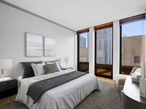 100 E Walton St #18G, Chicago, IL 60611 photo 11