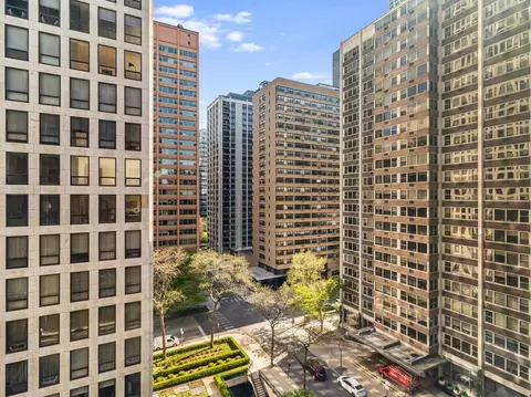 253 E Delaware Pl #10C, Chicago, IL 60611