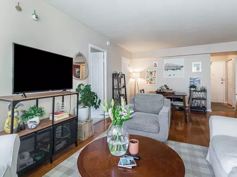 Living - 253 E Delaware Pl #10C, Chicago, IL 60611 photo 4 of 4