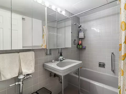 Bath - 253 E Delaware Pl #10C, Chicago, IL 60611 photo 1 of 1