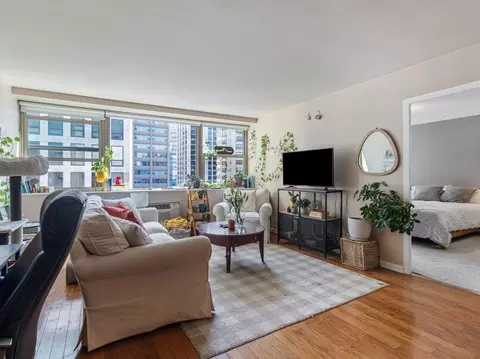 Living - 253 E Delaware Pl #10C, Chicago, IL 60611 photo 2 of 4