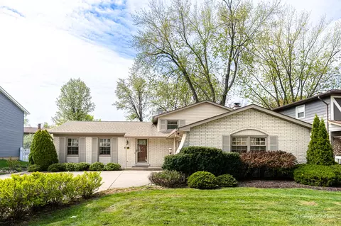 315 Anthony Rd, Buffalo Grove, IL 60089