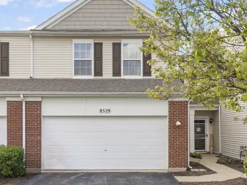 8529 Sawyer Ct, Joliet, IL 60431
