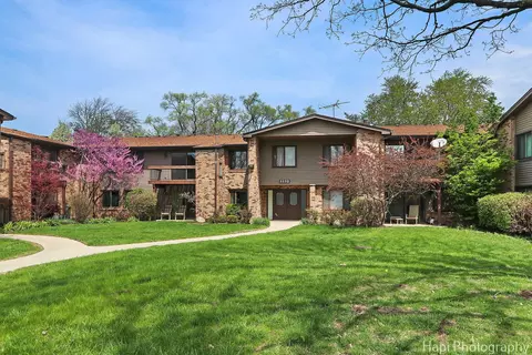 1132 E Randville Dr #2E, Palatine, IL 60074