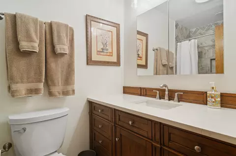 159 E Forest Ln, Palatine, IL 60067 photo 22