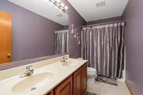24210 Apple Creek Ln, Plainfield, IL 60586 photo 29