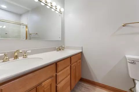 Bath - 15325 Walnut Rd, Oak Forest, IL 60452 photo 3 of 4