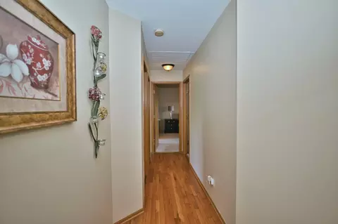 1729 Hidden Oaks Ct, Plainfield, IL 60586 photo 32