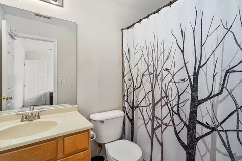 Bath - 17604 Gilbert Dr, Lockport, IL 60441 photo 1 of 2