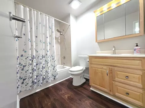 Bath - 1750 Ridgewood Ln, Hoffman Estates, IL 60192 photo 3 of 3