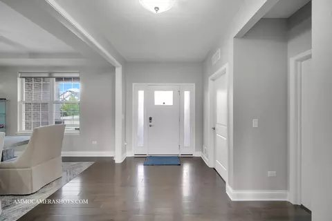 Entry Way - 4324 Conifer Rd, Naperville, IL 60564 photo 2 of 8