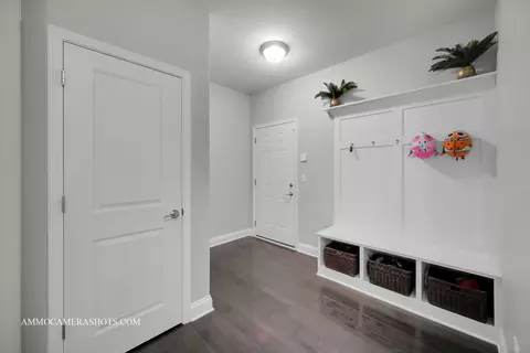 Entry Way - 4324 Conifer Rd, Naperville, IL 60564 photo 6 of 8